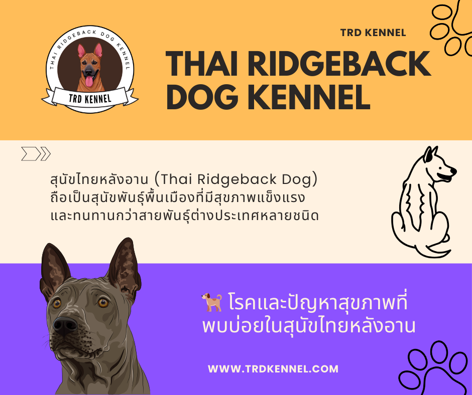 Thai Ridgeback Dog Diseases
